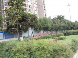 成都住宅别墅,联体别墅二手房出售信息 城市房产