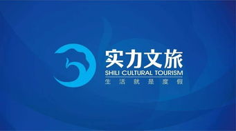 喜讯 实力集团实力 小院子度假村荣获 2019中国房地产优秀原创产品品牌 殊荣