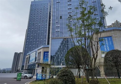 司法拍卖四川标王来了,23万平方米商业地产20亿元起拍