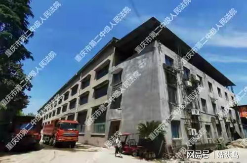 重庆市的一座大型工厂第三次拍卖,价格降到557.5万元也没人要
