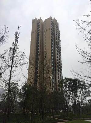 四川恒阳房地产开发集团