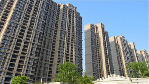 2019年5月金融统计数据报告