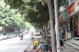 红星国际图片 四川房产