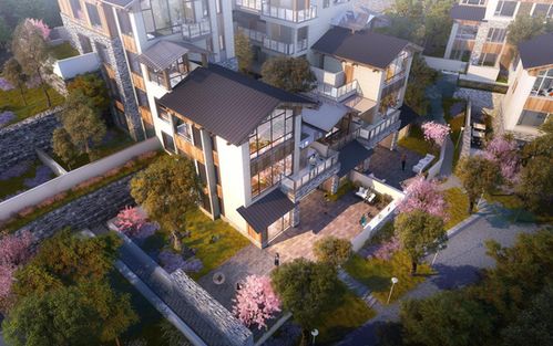 归原小镇产品发布会首秀惊艳山城，仙女山度假房地产迎来震撼盛会