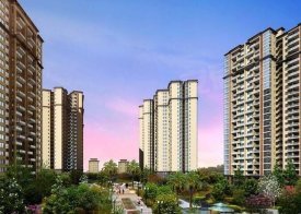 四川科华房地产开发 区域专业化与市场机遇